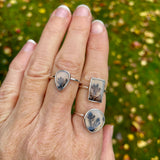 Dendritic agate rings