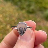 Dendritic agate rings