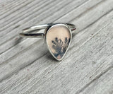 Dendritic agate rings