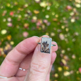 Dendritic agate rings