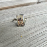 Dendritic agate rings