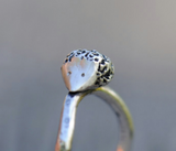 Henry the hedgehog ring